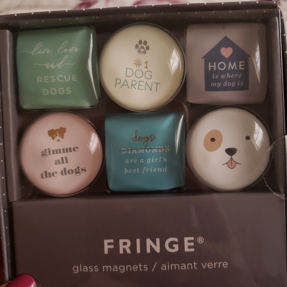 🐕 Dog Lovers  💙  Fringe Glass Magnets 🧲